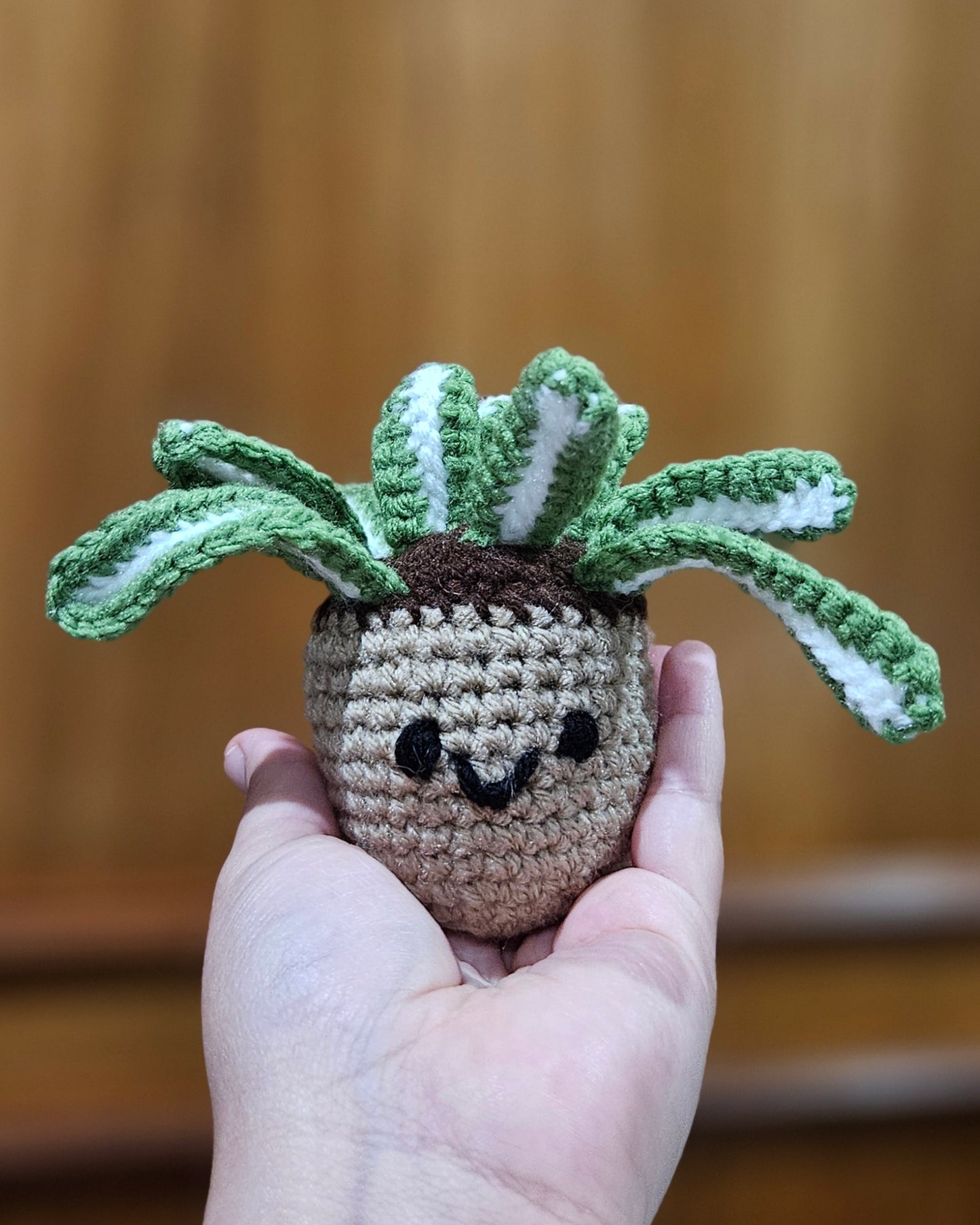 Handmade Crochet Plant - Cute Sprout, Succulent, String of Pearls Mini Plush for Plant Lovers