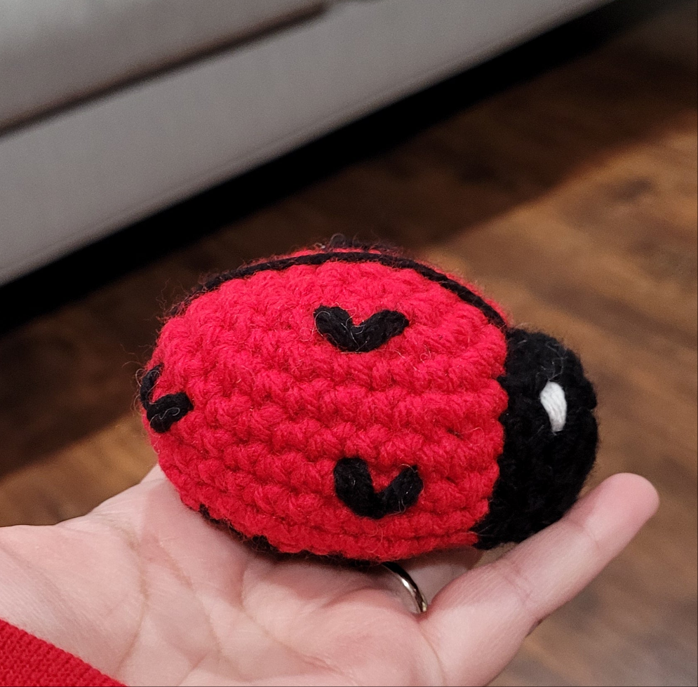 Crochet Love Bug Plushie