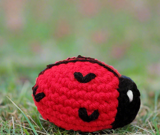 Crochet Love Bug Plushie