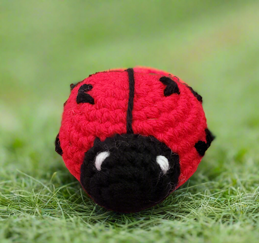 Crochet Love Bug Plushie