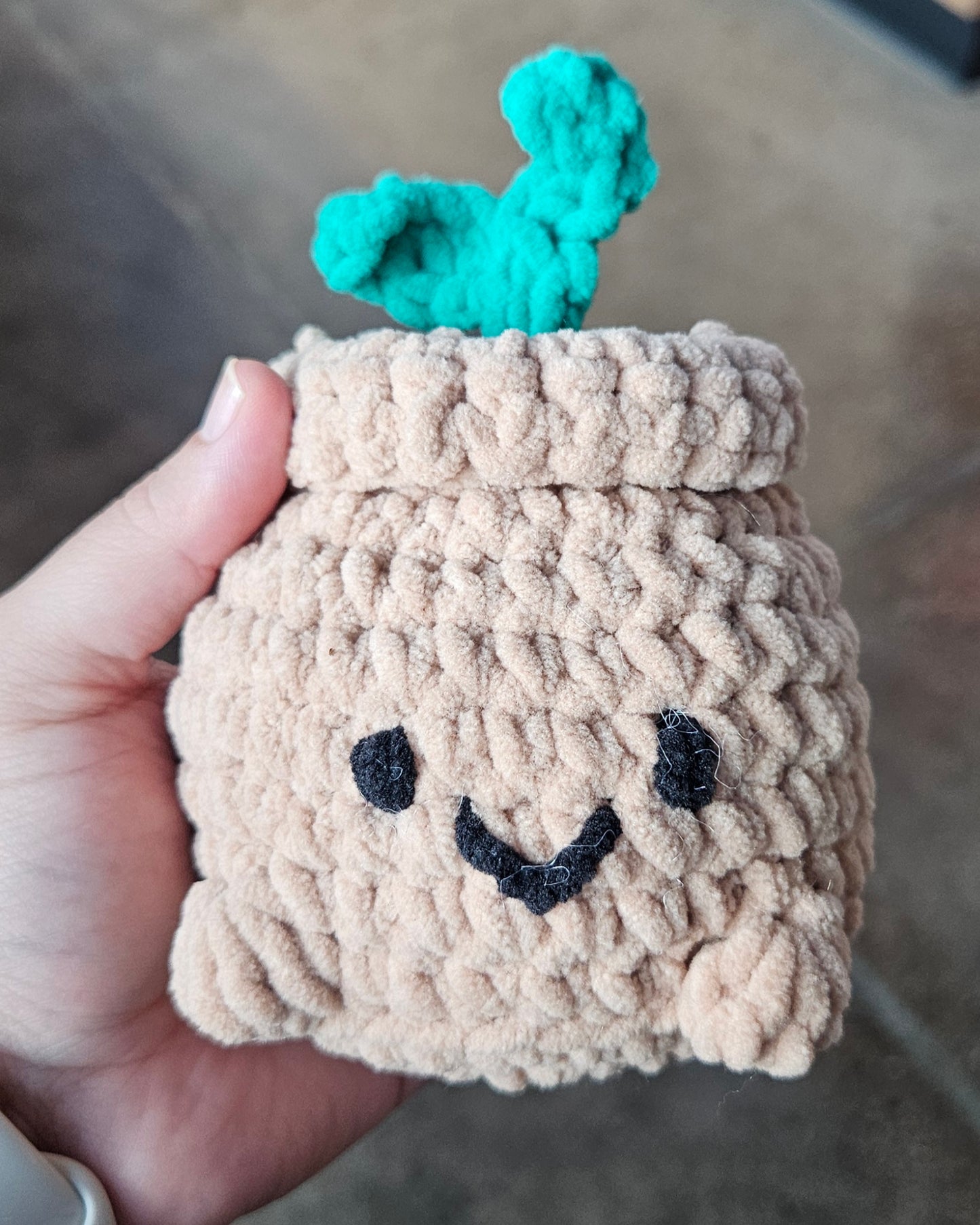 Handmade Crochet Plant - Cute Sprout, Succulent, String of Pearls Mini Plush for Plant Lovers