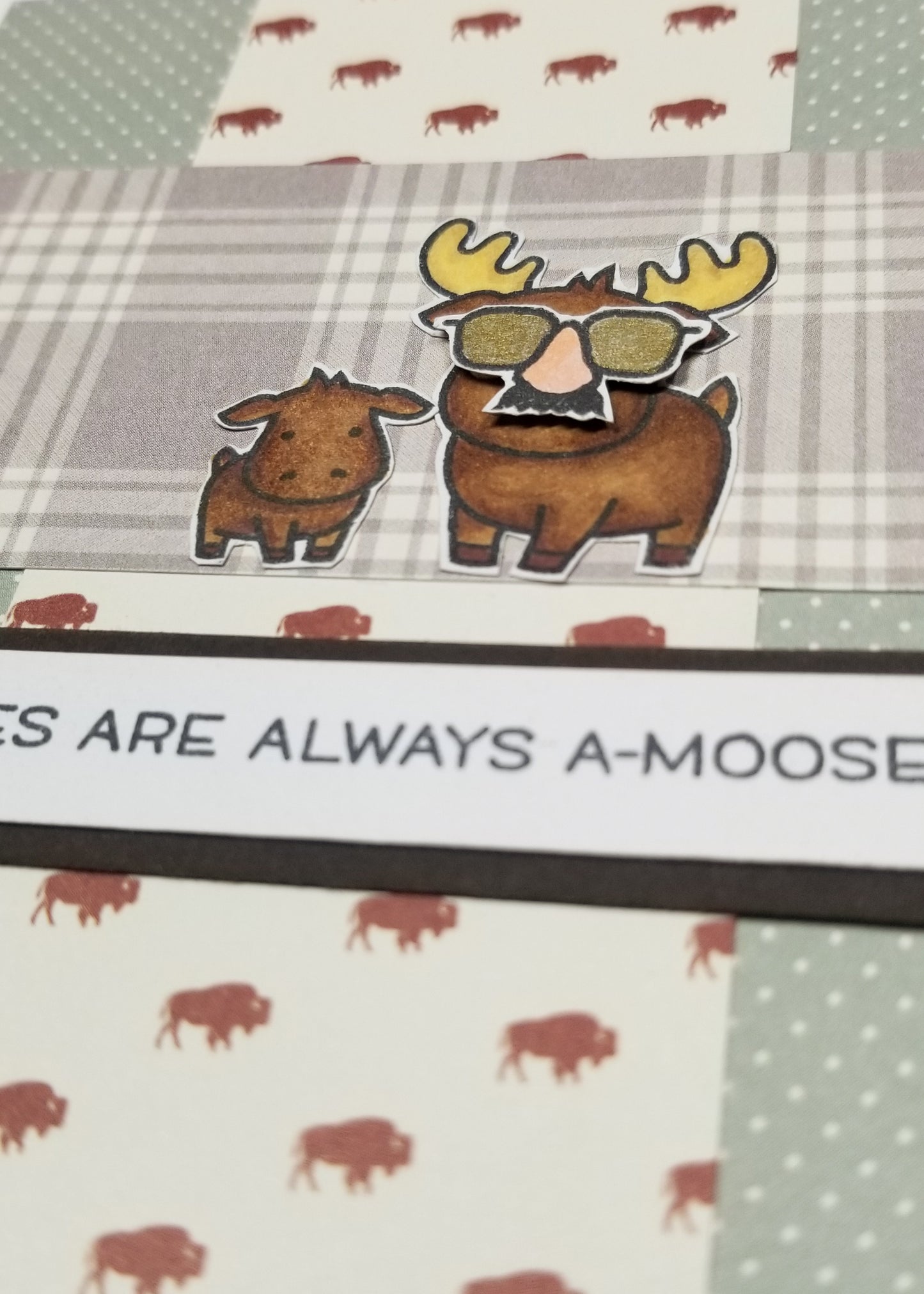 Punny Moose Father's Day Cards