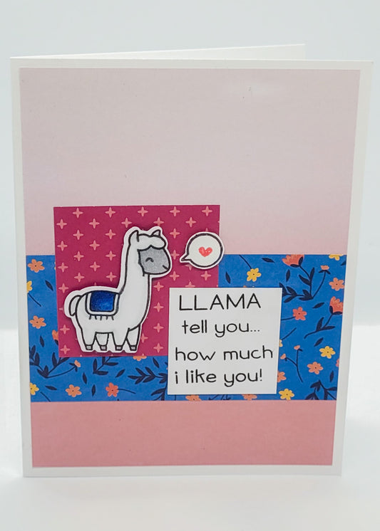 Llama Valentine - Pink Ombré