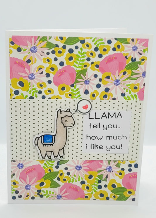 Llama Valentine - Pink Floral