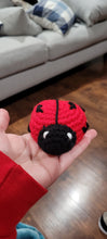 Load image into Gallery viewer, Crochet Love Bug Plushie
