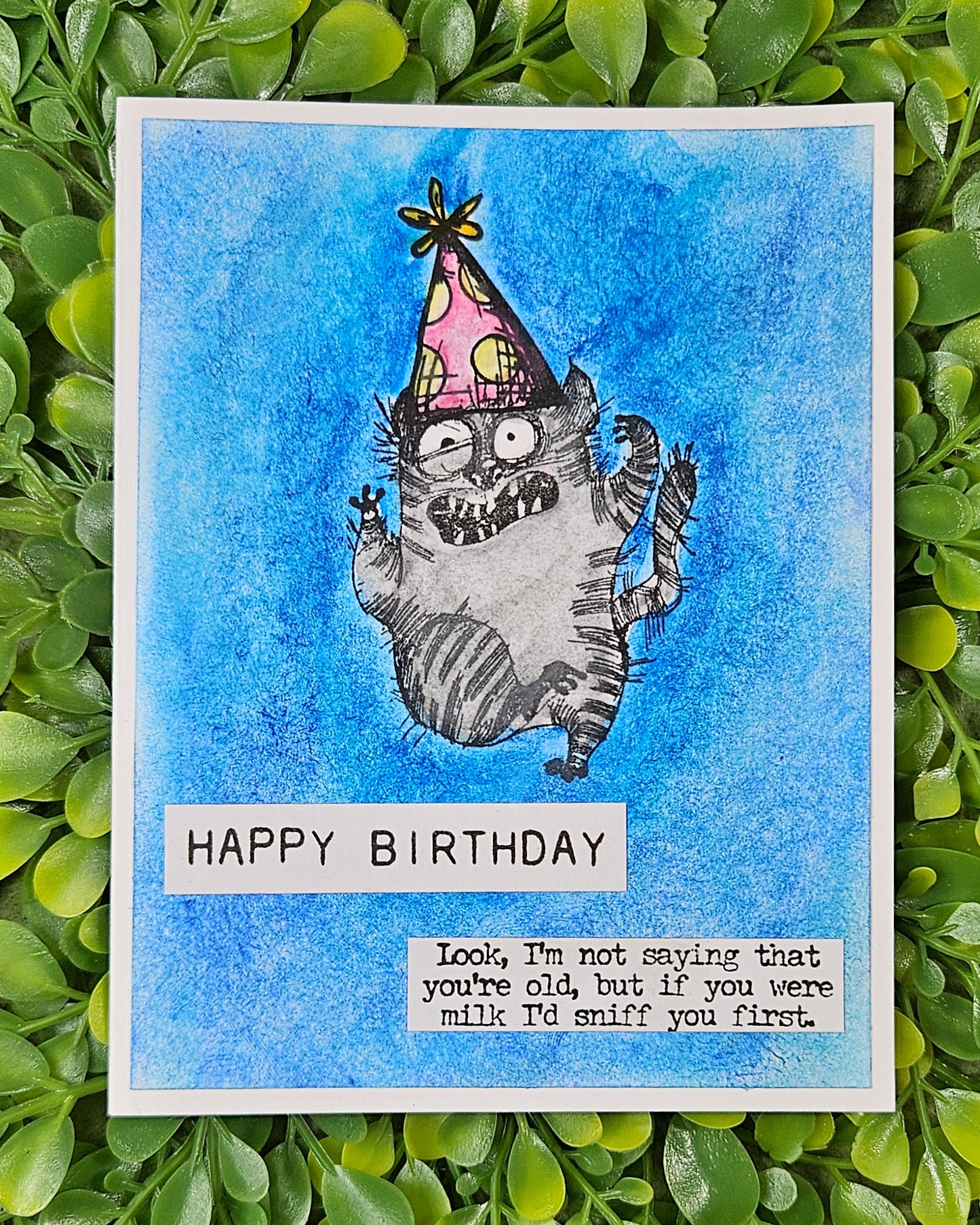 Sassy Cat Birthday Card