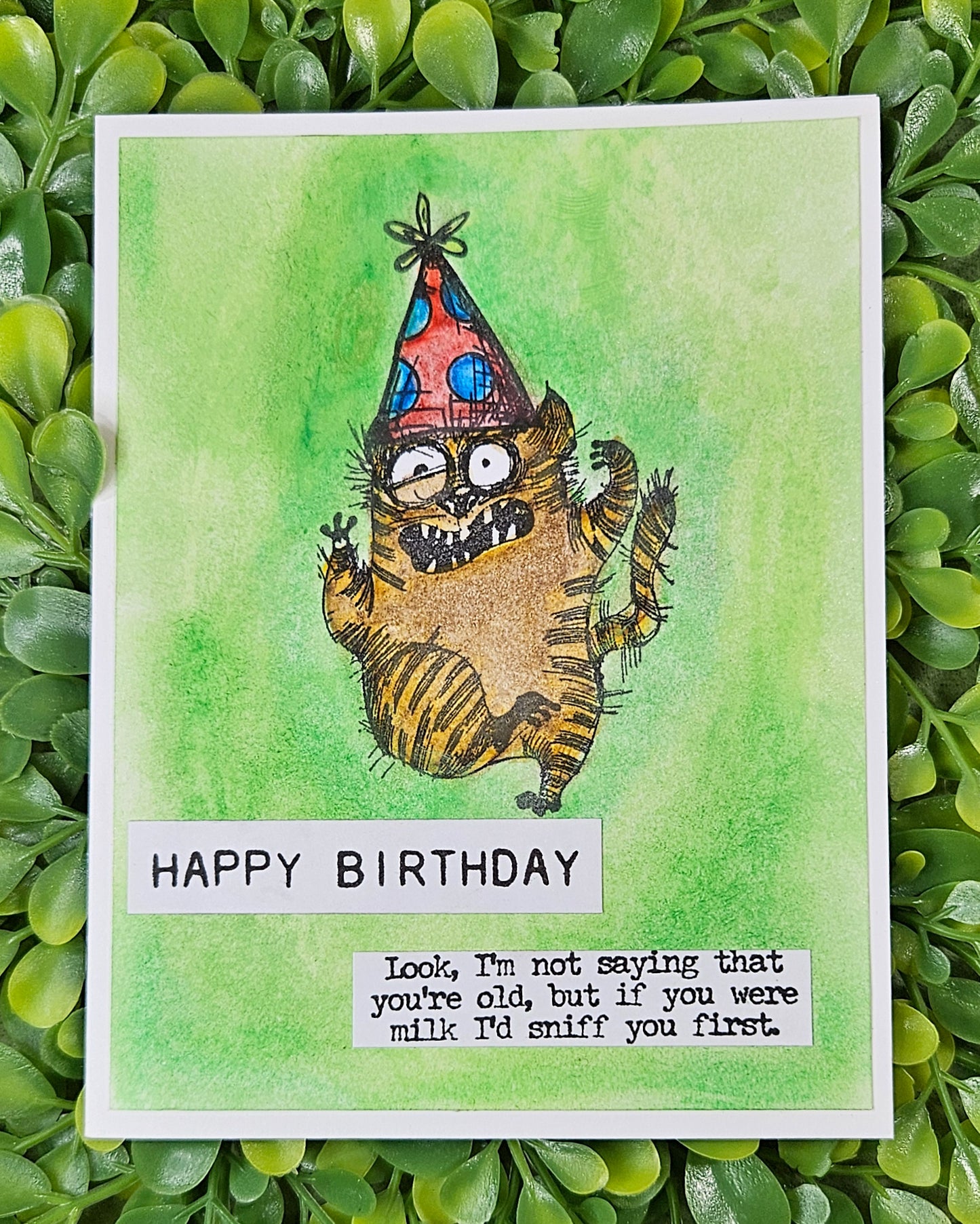 Sassy Cat Birthday Card