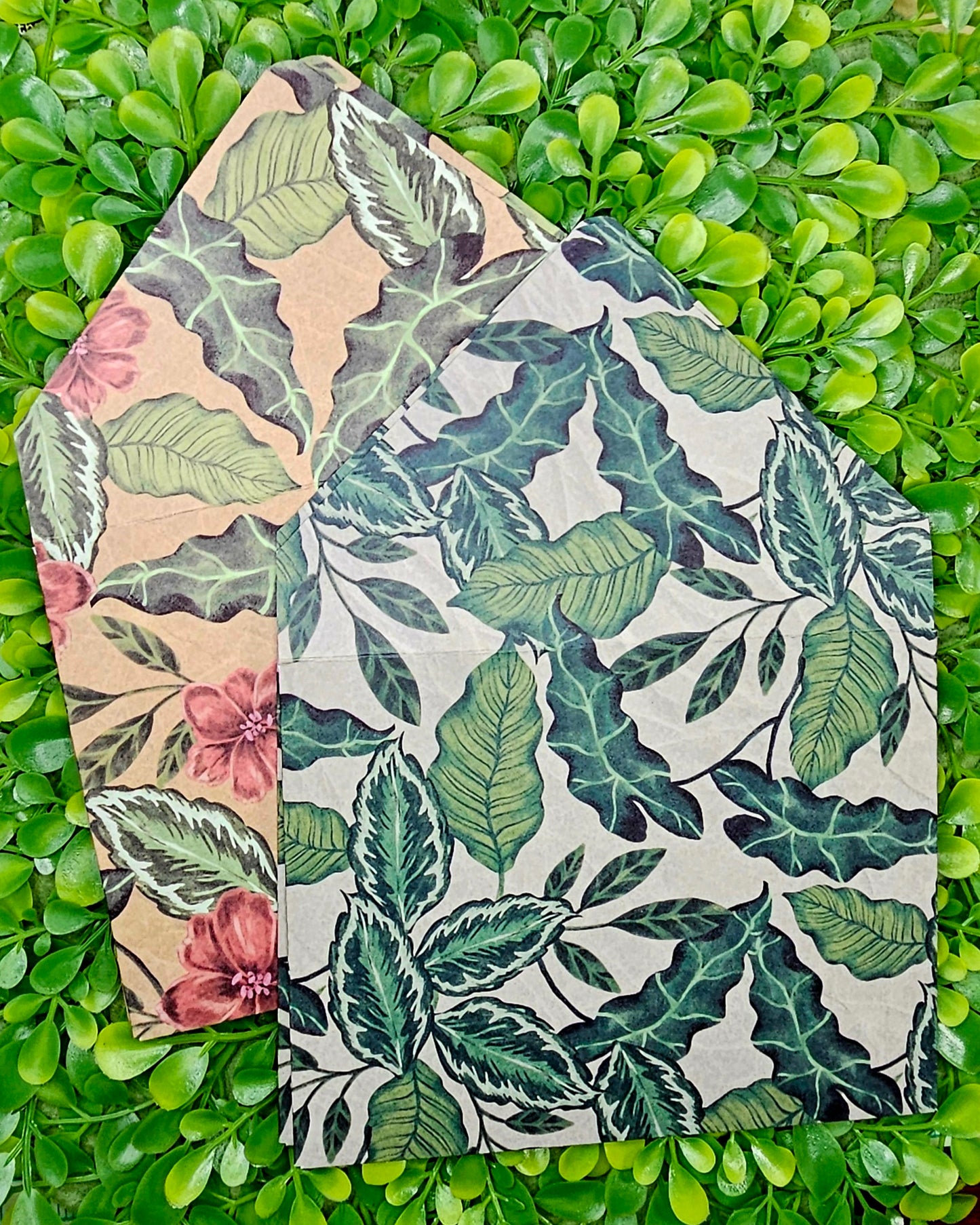 Plant Greeting Card Set - Blank Notecards For Any Occasion