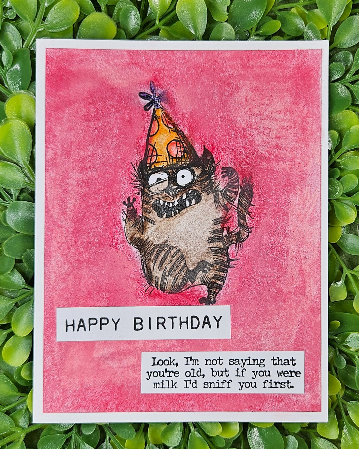 Birthday card with a cat in a party hat on a red background