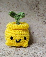 Load image into Gallery viewer, Handmade Crochet Plant - Cute Sprout, Succulent, String of Pearls Mini Plush for Plant Lovers
