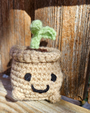 Load image into Gallery viewer, Handmade Crochet Plant - Cute Sprout, Succulent, String of Pearls Mini Plush for Plant Lovers
