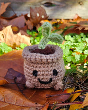 Load image into Gallery viewer, Handmade Crochet Plant - Cute Sprout, Succulent, String of Pearls Mini Plush for Plant Lovers
