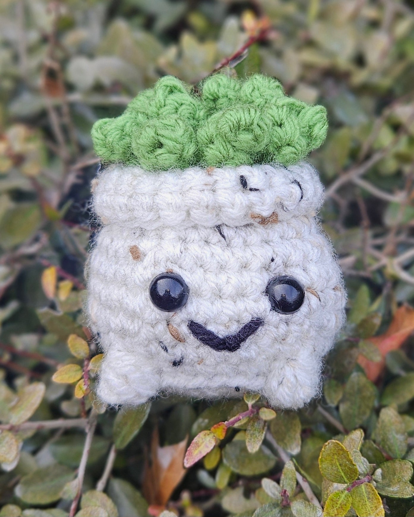 Handmade Crochet Plant - Cute Sprout, Succulent, String of Pearls Mini Plush for Plant Lovers