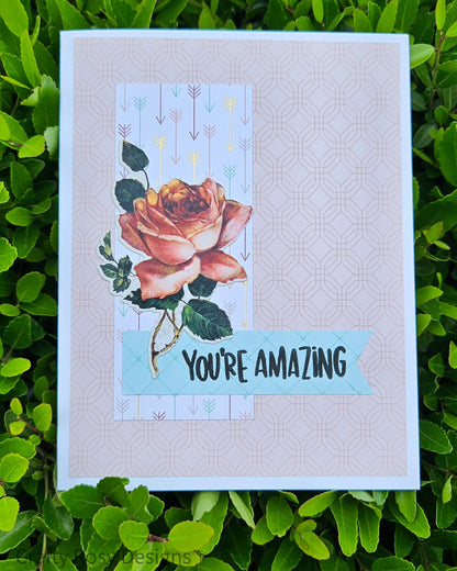 Boho Greeting Card Set