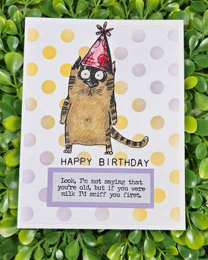 Sassy Cat Birthday Card