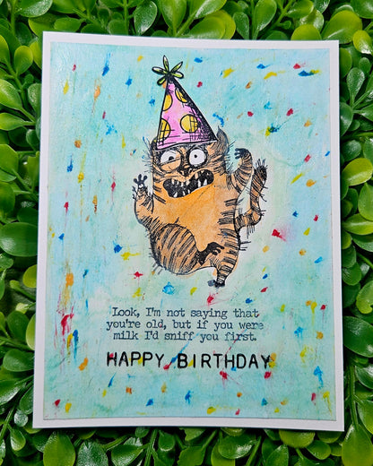 Sassy Cat Birthday Card