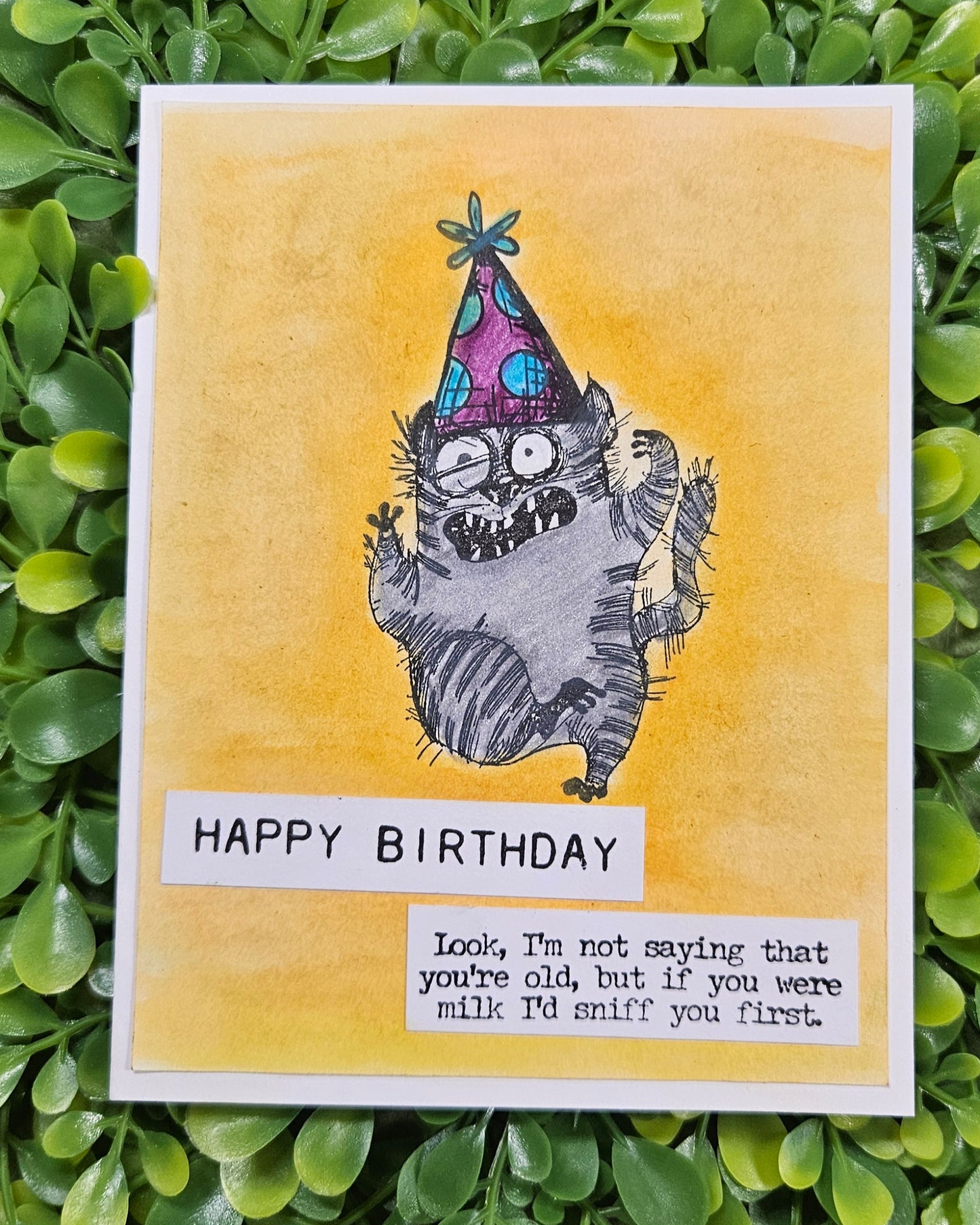 Sassy Cat Birthday Card