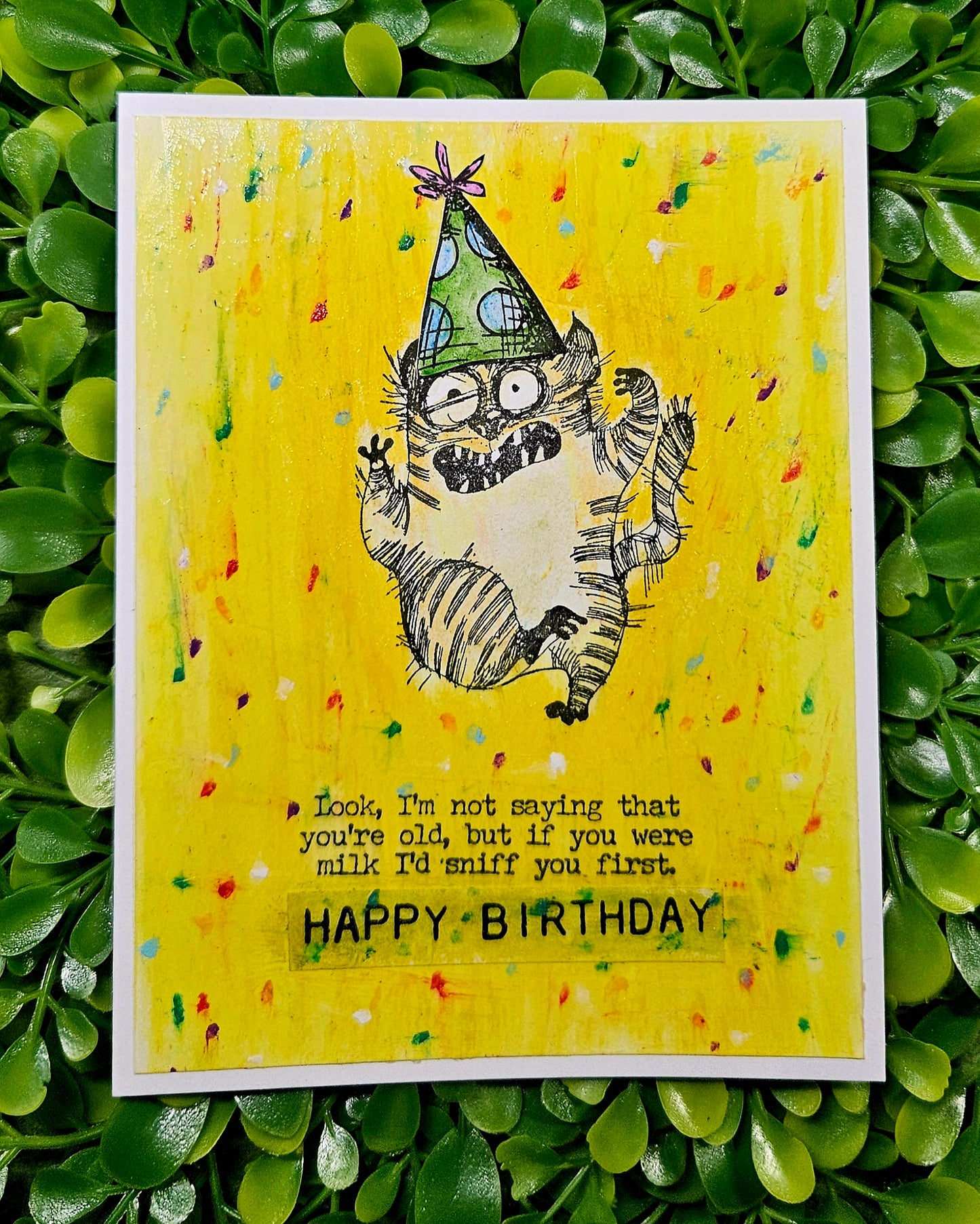 Sassy Cat Birthday Card